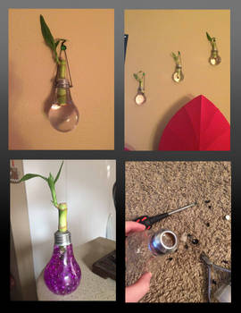 DIY Light Bulb Lucky Bamboo Planters