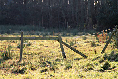 fence on a farm.