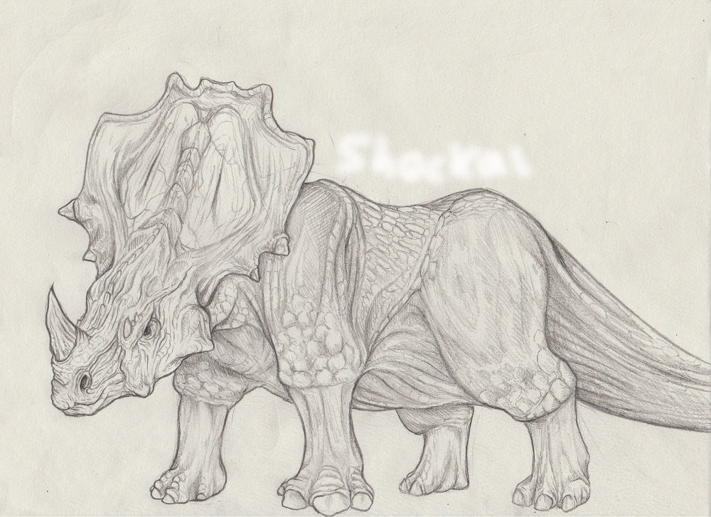 Dinosaur Rinconsaurus Drawing Rhinosaurus by shockaLocKer on DeviantArt