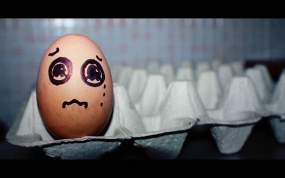 Lonely Egg