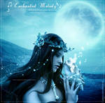 Enchanted Melody by areemus