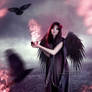 The-Raven's-Goddess