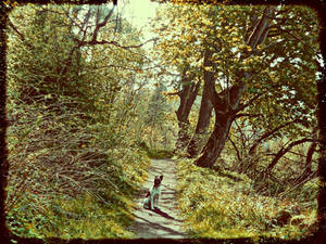 Vintage path