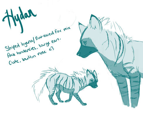 Hydan concept