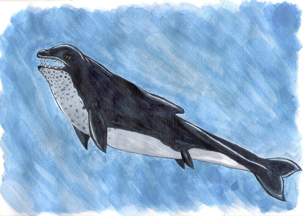 Basilosaurus Deviantart Basilosaurus by DrexlerAdam on DeviantArt
