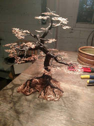 dark and old copper bonsai