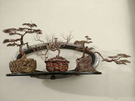 three Bonsai trees