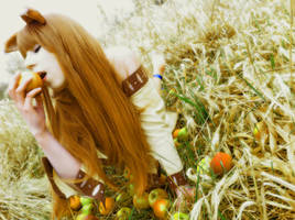 Horo/Holo - Spice and Wolf Cospaly