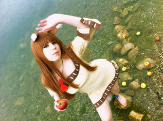 Spice and Wolf Holo Cosplay