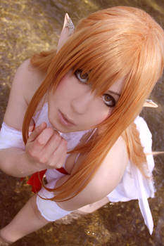 Cute Asuna - Queen Titania Sword Art Online Cos