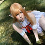 Sweet Fairy Asuna (Queen Titania - SAO) Cosplay