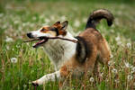 My stick by MsAdrenaline
