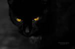 I see you.. by MsAdrenaline