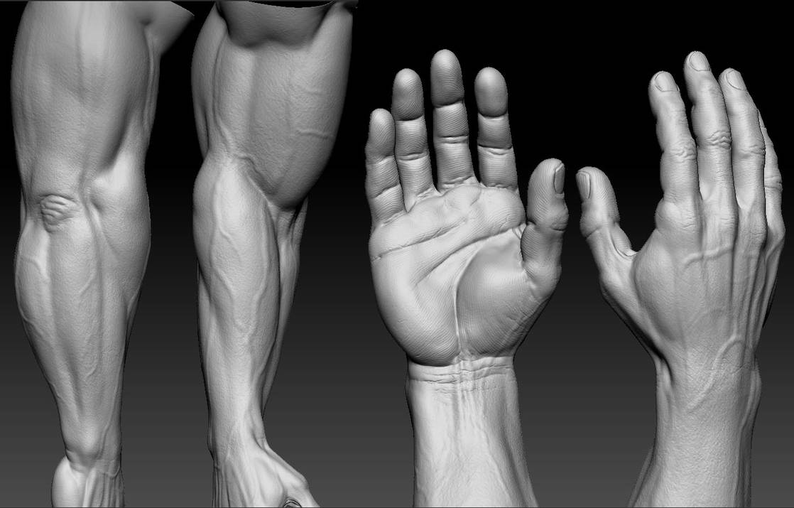 High poly hand sculpt by slocik on DeviantArt