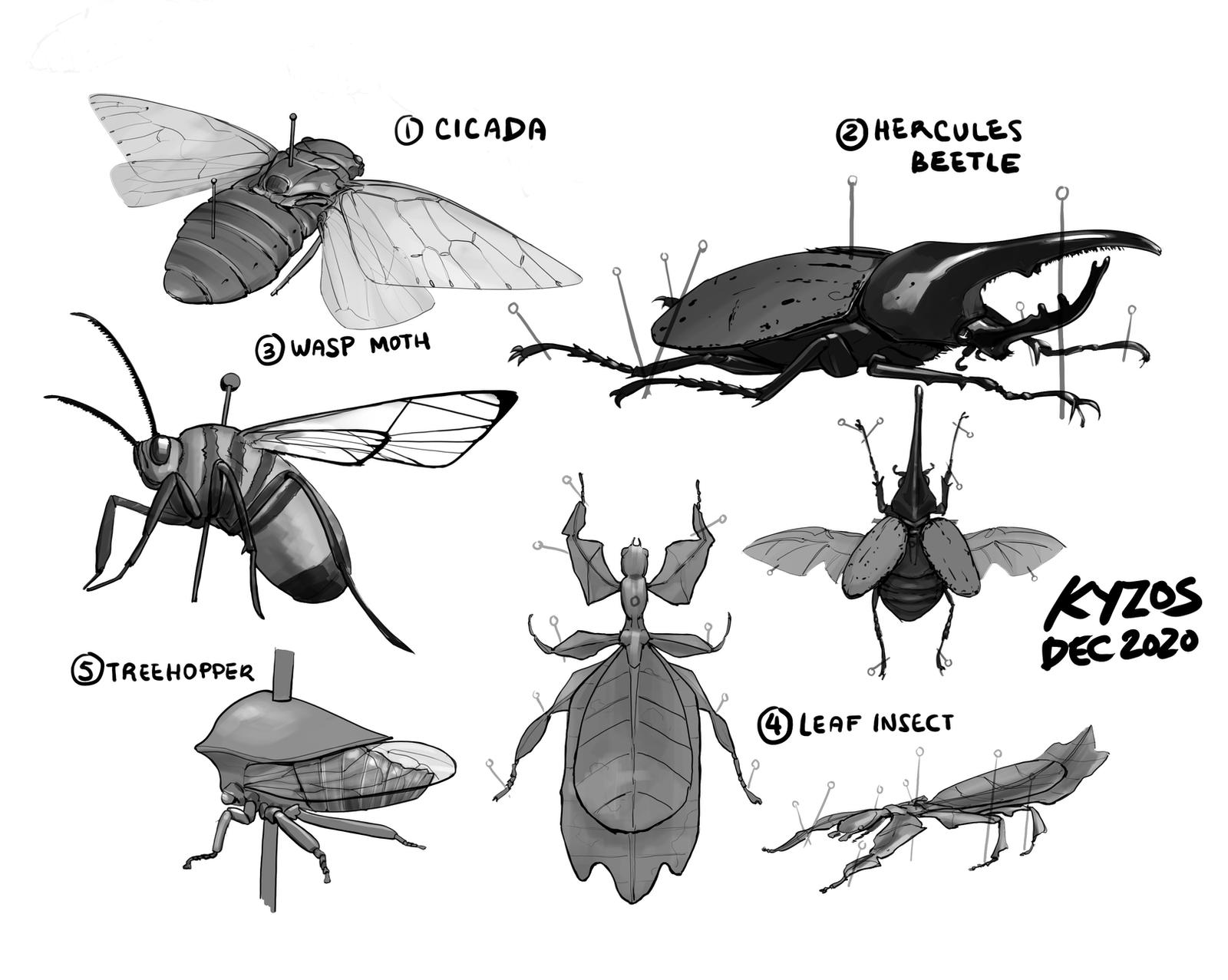 All Insects List Deviantart Daily Drawing - Insects by KyzosArt on DeviantArt