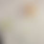 Fat Wife/ SSBBW- stuffed with doughnuts