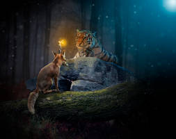 The Child, The Fox, The Squirrel And The Tiger