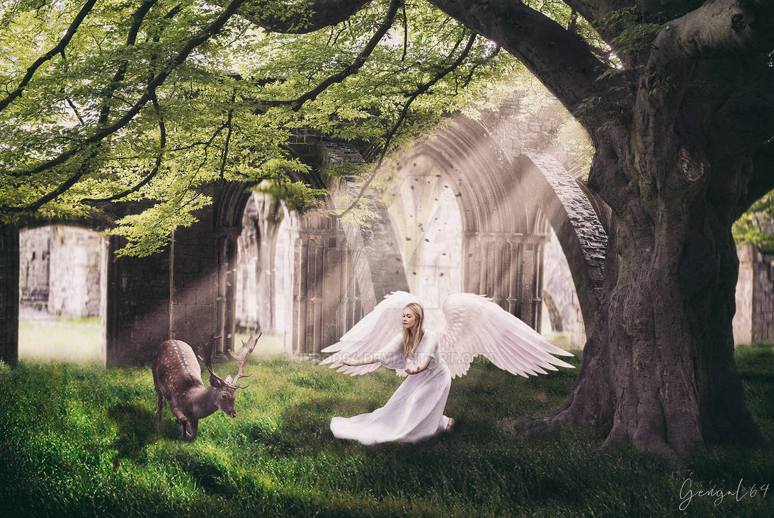 The Angel And The Deer
