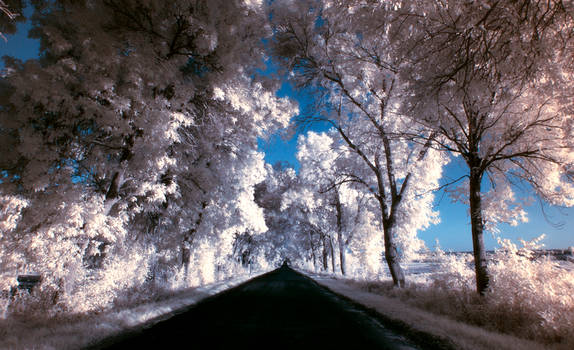 Polska Infrared