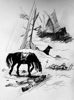 Thorgal : Le sillage du Chef Traitre