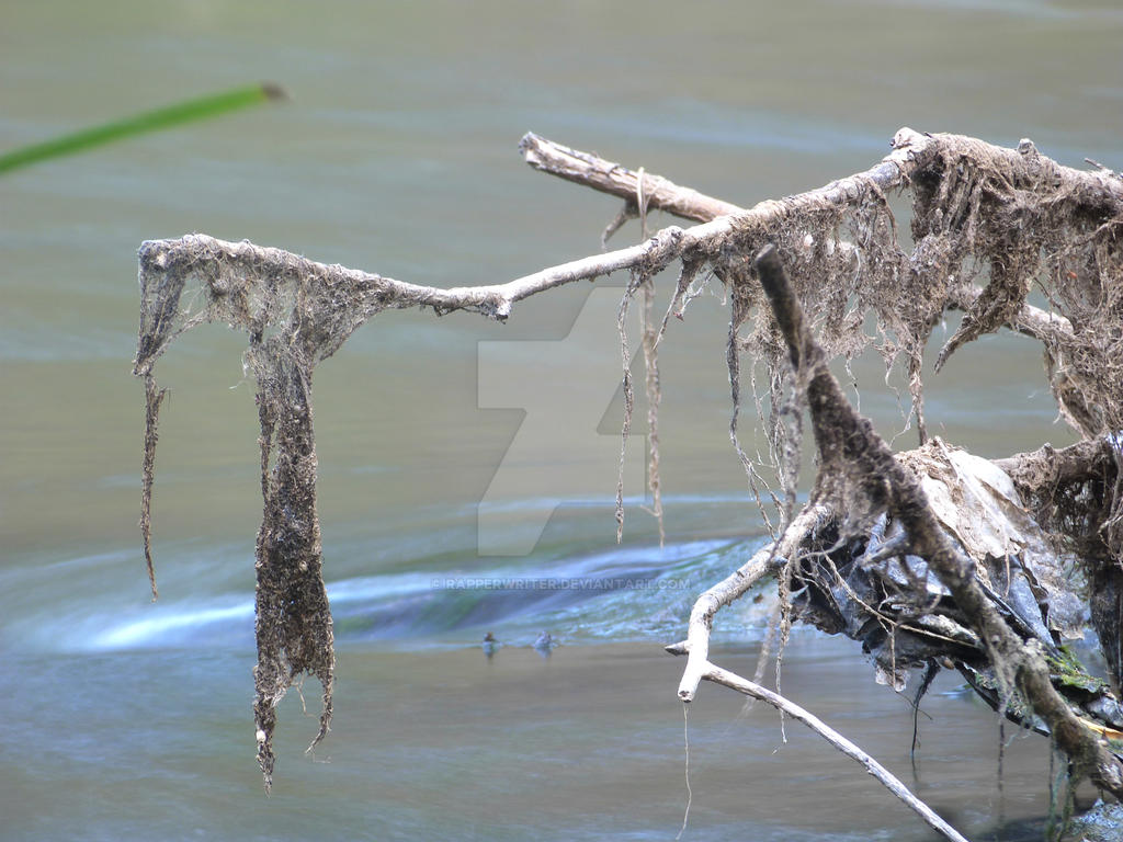 riverside by rapperwriter on DeviantArt