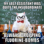 Chemistry Cat - Fluorine