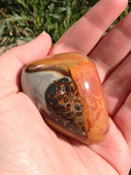 Polychrome Jasper