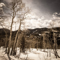 Winter in Aspen