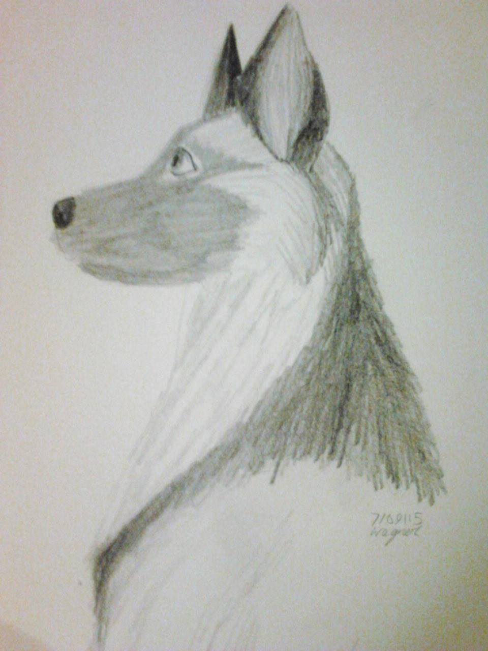 Fallout 4 German Shepherd Practice Single Sketch 1