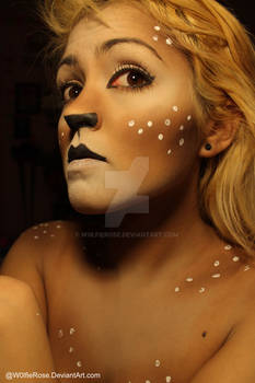 Fawn Makeup