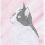 Cat Aquarelle