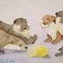 Lemon Otters