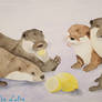 Lemon Otters