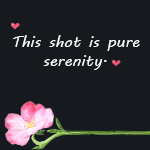 This shot is pure serenity.