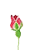For-you2
