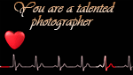You are a talented photographer!