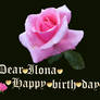 Dear Ilona happy birth day!