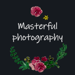 Masterful photography