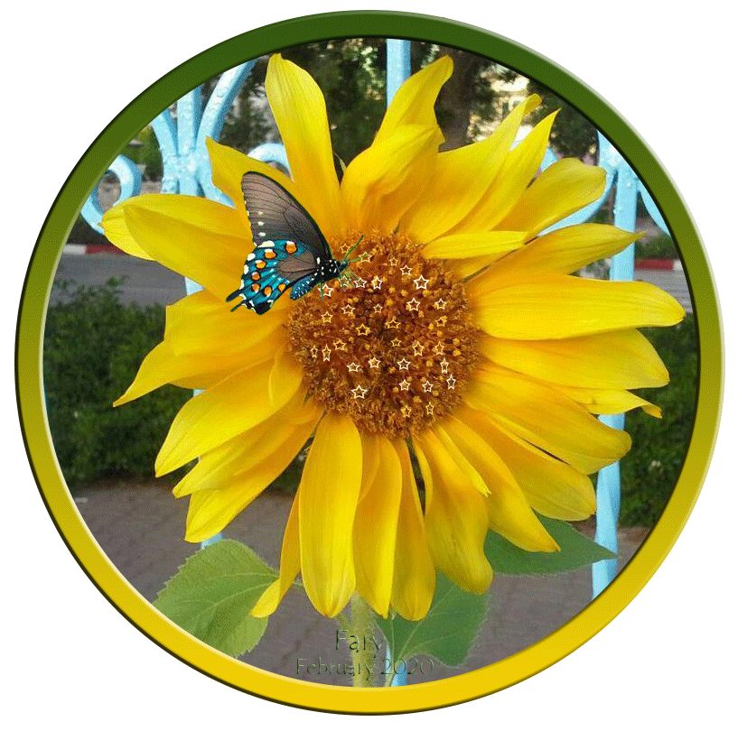 sunflower by faryba on DeviantArt