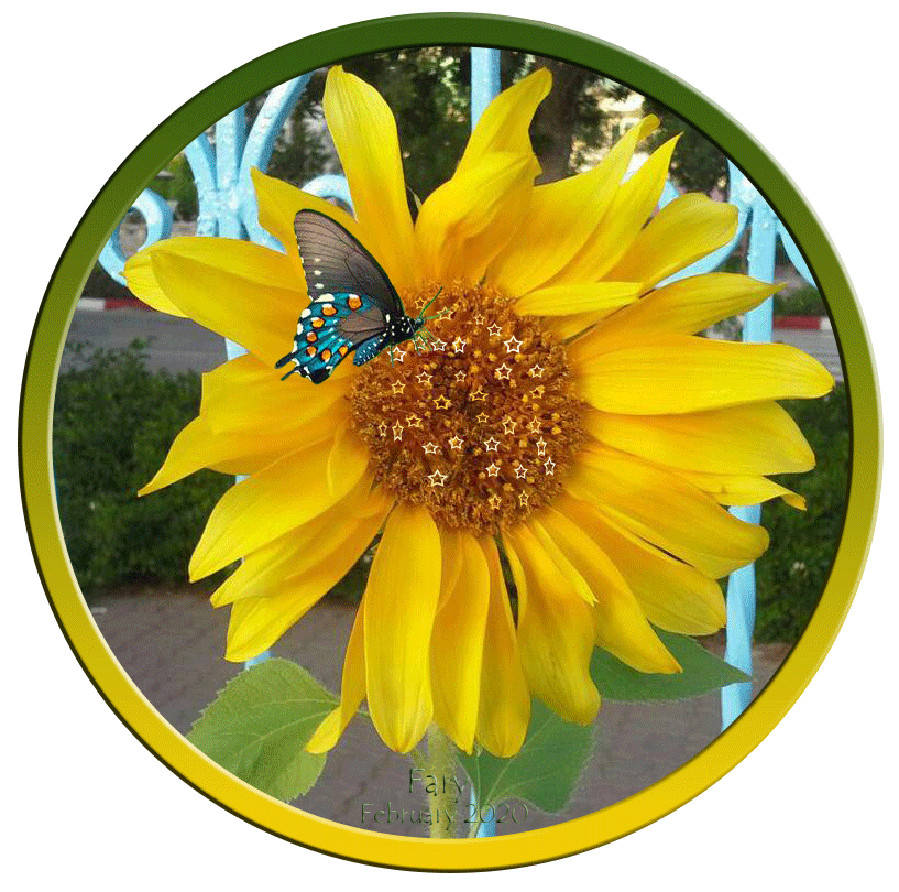 sunflower by faryba on DeviantArt sunflower by faryba on DeviantArt