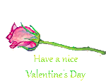 Have a nice Valentine's Day