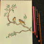 the bird singing