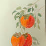 The Persimmon Smile