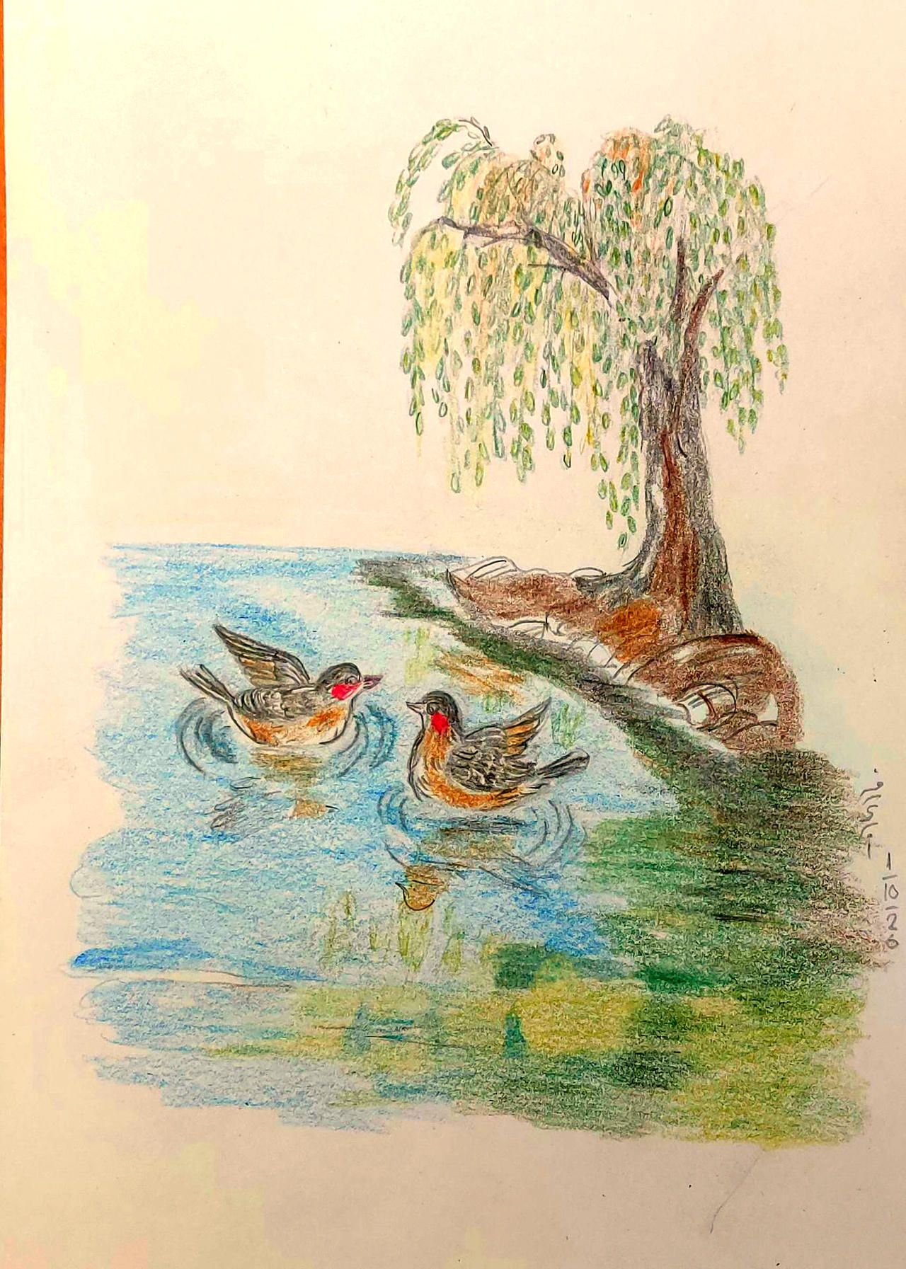 Pond