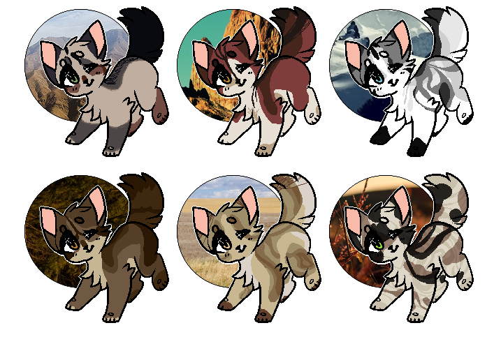 kitten point adoptables V [ 2/6 open ]