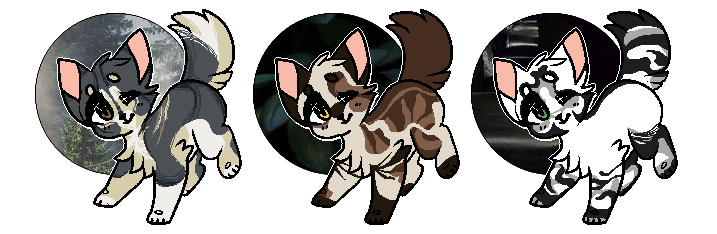 kitten point adoptables VIII [ closed ]