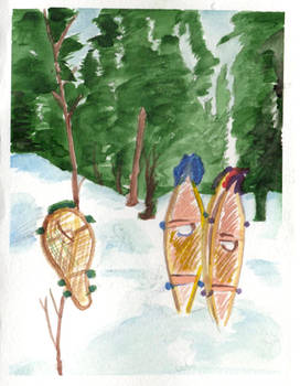 Snowshoes at the Bosum's Winter Camp