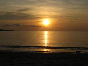 suNsEt,, part II