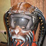 motorcycle helmet octopus.