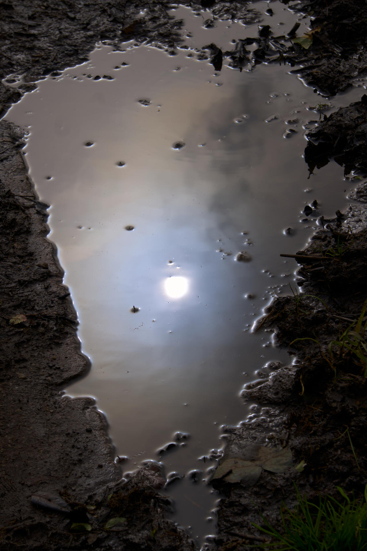Puddle by Choradox on DeviantArt
